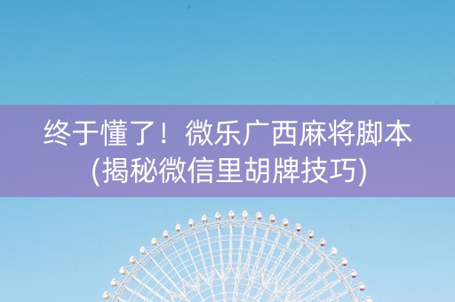 终于懂了！微乐广西麻将脚本(揭秘微信里胡牌技巧)