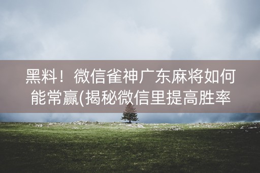 黑料！微信雀神广东麻将如何能常赢(揭秘微信里提高胜率)