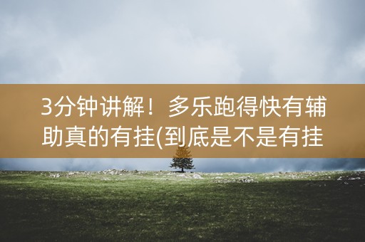 3分钟讲解！多乐跑得快有辅助真的有挂(到底是不是有挂)