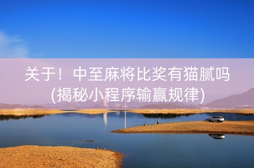 关于！中至麻将比奖有猫腻吗(揭秘小程序输赢规律)