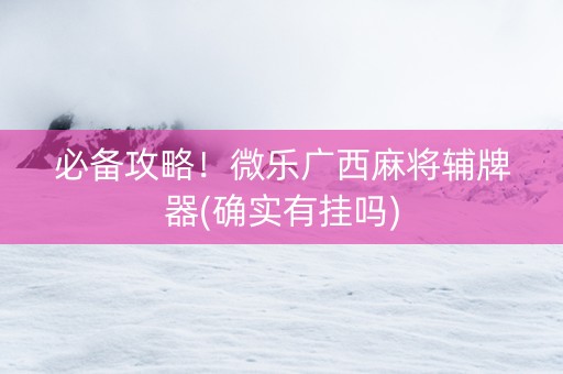 必备攻略！微乐广西麻将辅牌器(确实有挂吗)