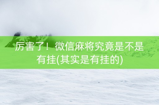 厉害了！微信麻将究竟是不是有挂(其实是有挂的)