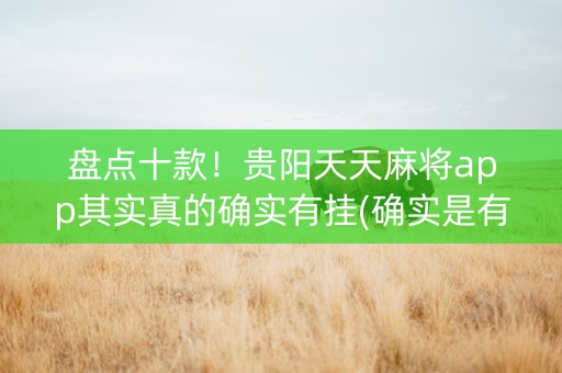 盘点十款！贵阳天天麻将app其实真的确实有挂(确实是有挂的)