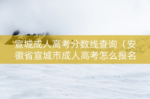 宣城成人高考分数线查询（安徽省宣城市成人高考怎么报名）