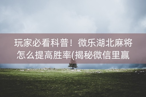 玩家必看科普！微乐湖北麻将怎么提高胜率(揭秘微信里赢的诀窍)