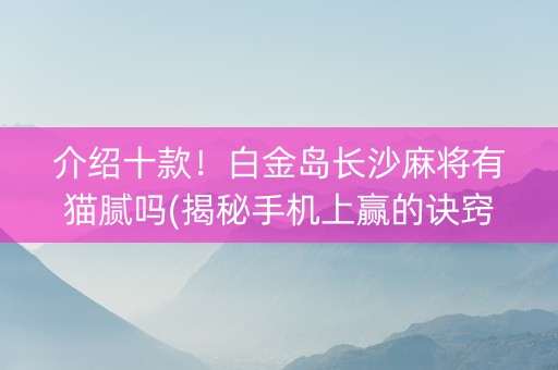 介绍十款！白金岛长沙麻将有猫腻吗(揭秘手机上赢的诀窍)
