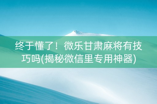 终于懂了！微乐甘肃麻将有技巧吗(揭秘微信里专用神器)