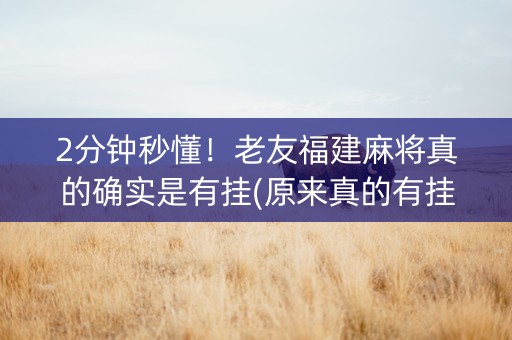 2分钟秒懂！老友福建麻将真的确实是有挂(原来真的有挂)