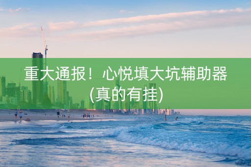 重大通报！心悦填大坑辅助器(真的有挂)