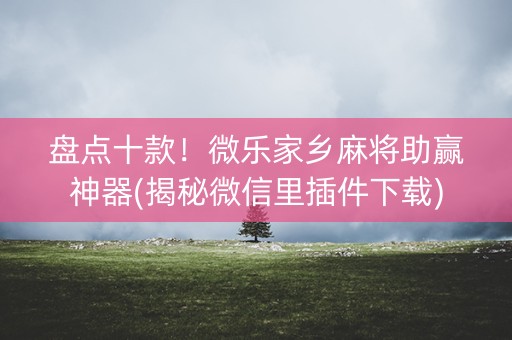 盘点十款！微乐家乡麻将助赢神器(揭秘微信里插件下载)