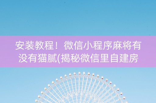 安装教程！微信小程序麻将有没有猫腻(揭秘微信里自建房怎么赢)