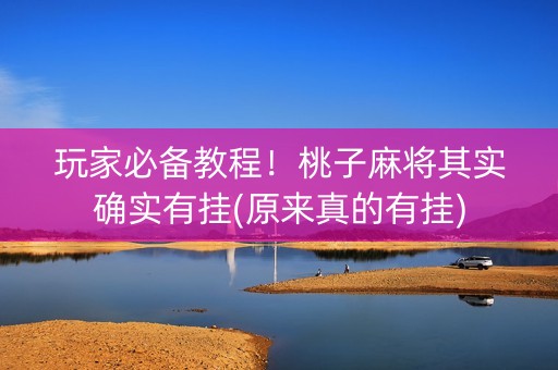 玩家必备教程！桃子麻将其实确实有挂(原来真的有挂)
