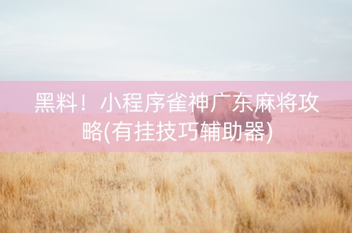 黑料！小程序雀神广东麻将攻略(有挂技巧辅助器)