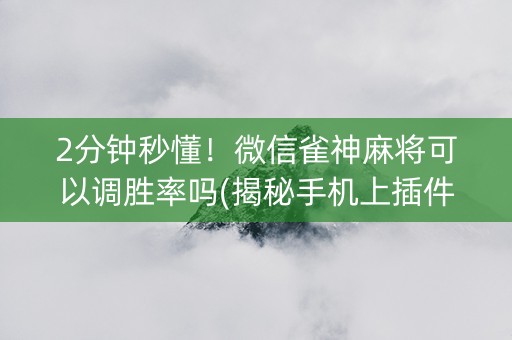 2分钟秒懂！微信雀神麻将可以调胜率吗(揭秘手机上插件下载)