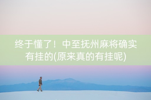 终于懂了！中至抚州麻将确实有挂的(原来真的有挂呢)