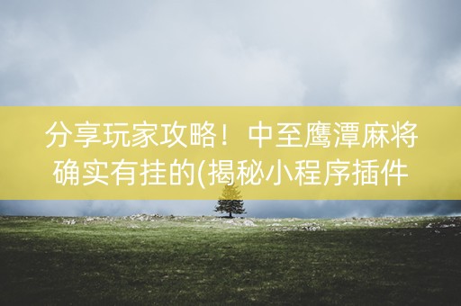 分享玩家攻略！中至鹰潭麻将确实有挂的(揭秘小程序插件免费)