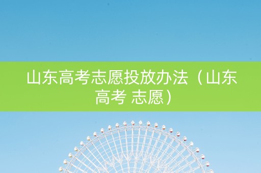 山东高考志愿投放办法（山东 高考 志愿）