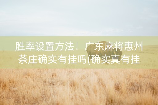 胜率设置方法！广东麻将惠州茶庄确实有挂吗(确实真有挂)