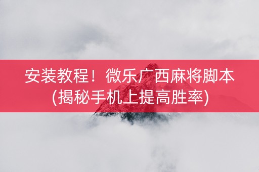 安装教程！微乐广西麻将脚本(揭秘手机上提高胜率)