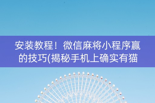 安装教程！微信麻将小程序赢的技巧(揭秘手机上确实有猫腻)