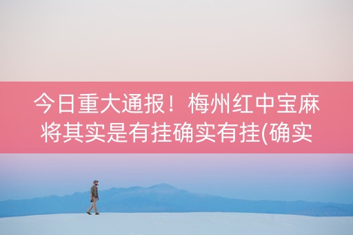 今日重大通报！梅州红中宝麻将其实是有挂确实有挂(确实是有挂的)