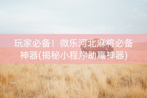 玩家必备！微乐河北麻将必备神器(揭秘小程序助赢神器)
