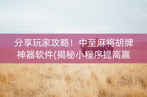 分享玩家攻略！中至麻将胡牌神器软件(揭秘小程序提高赢的概率)