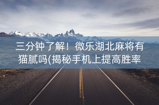 三分钟了解！微乐湖北麻将有猫腻吗(揭秘手机上提高胜率)