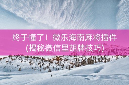 终于懂了！微乐海南麻将插件(揭秘微信里胡牌技巧)