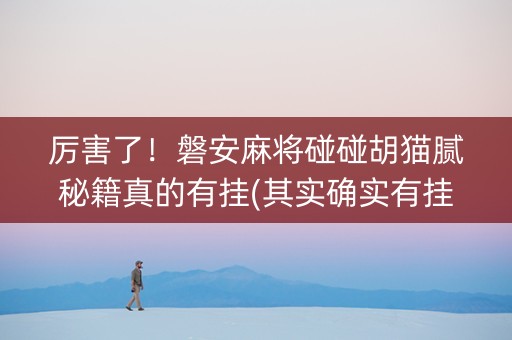 厉害了！磐安麻将碰碰胡猫腻秘籍真的有挂(其实确实有挂)