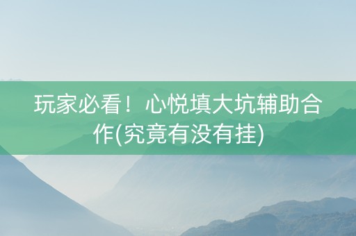 玩家必看！心悦填大坑辅助合作(究竟有没有挂)