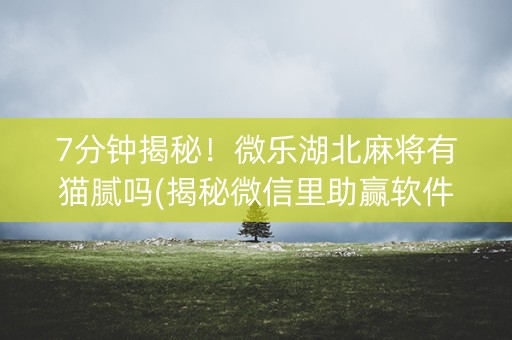 7分钟揭秘！微乐湖北麻将有猫腻吗(揭秘微信里助赢软件)