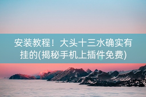 安装教程！大头十三水确实有挂的(揭秘手机上插件免费)