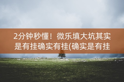 2分钟秒懂！微乐填大坑其实是有挂确实有挂(确实是有挂)