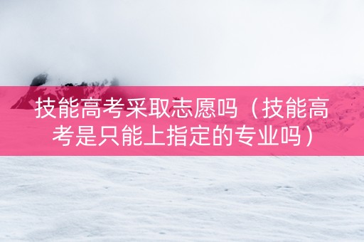 技能高考采取志愿吗（技能高考是只能上指定的专业吗）