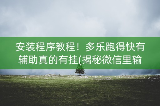 安装程序教程！多乐跑得快有辅助真的有挂(揭秘微信里输赢规律)
