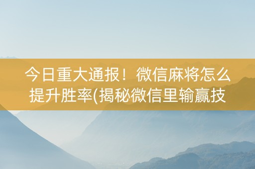 今日重大通报！微信麻将怎么提升胜率(揭秘微信里输赢技巧)