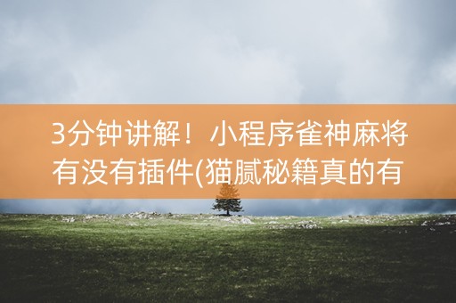 3分钟讲解！小程序雀神麻将有没有插件(猫腻秘籍真的有挂)
