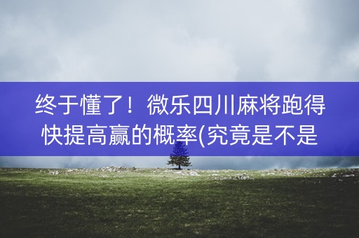 终于懂了！微乐四川麻将跑得快提高赢的概率(究竟是不是有挂)