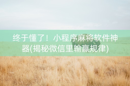 终于懂了！小程序麻将软件神器(揭秘微信里输赢规律)