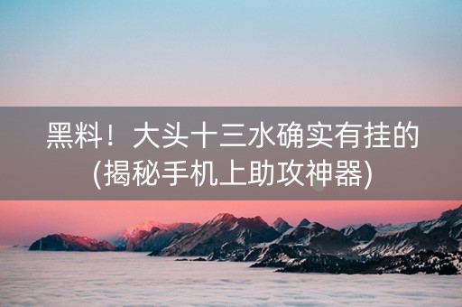 黑料！大头十三水确实有挂的(揭秘手机上助攻神器)