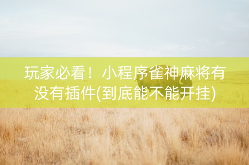 玩家必看！小程序雀神麻将有没有插件(到底能不能开挂)