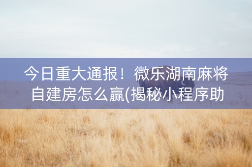 今日重大通报！微乐湖南麻将自建房怎么赢(揭秘小程序助攻神器)