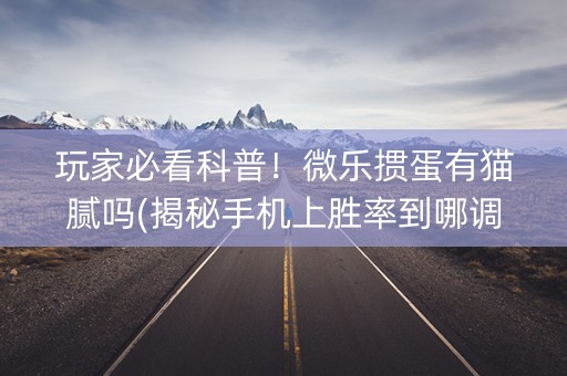 玩家必看科普！微乐掼蛋有猫腻吗(揭秘手机上胜率到哪调)