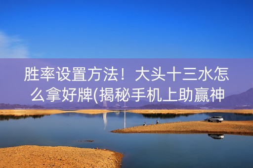 胜率设置方法！大头十三水怎么拿好牌(揭秘手机上助赢神器购买)