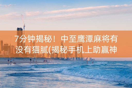 7分钟揭秘！中至鹰潭麻将有没有猫腻(揭秘手机上助赢神器)