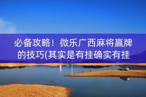 必备攻略！微乐广西麻将赢牌的技巧(其实是有挂确实有挂)