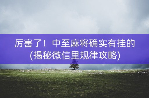 厉害了！中至麻将确实有挂的(揭秘微信里规律攻略)