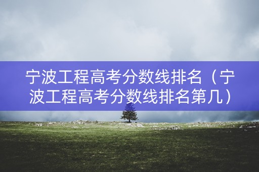 宁波工程高考分数线排名（宁波工程高考分数线排名第几）