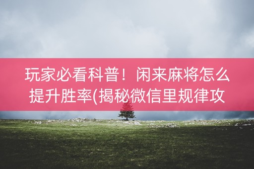 玩家必看科普！闲来麻将怎么提升胜率(揭秘微信里规律攻略)